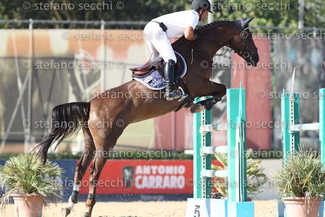 D ONOFRIO_ANNIKKI_ECC_2011_SS3_8328.jpg